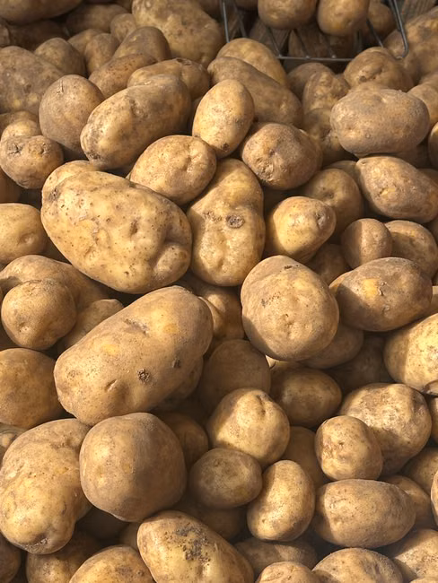 Cebola Nacional (kg)