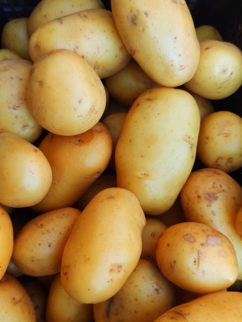 Coxão Mole (kg)